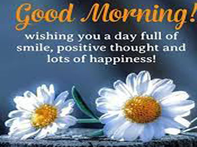 Good Morning Have A Nice Friday