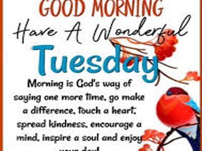 Good Morning Have A Nice Thursday Everyone