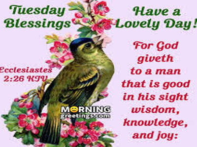 Good Morning Have A Nice Thursday