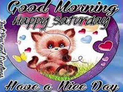 Good Morning Have A Nive Day