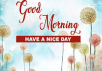 Good Morning Have Lovely Day