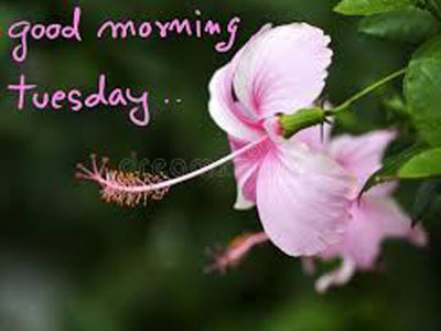 Good Morning Image 13