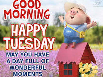 Good Morning May Your Thursday Be A Blessed One