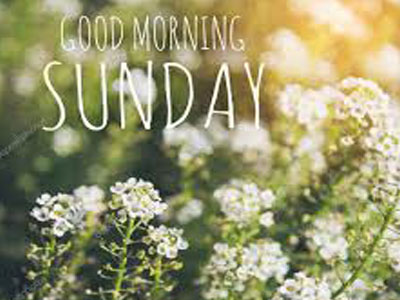 Good Morning My Dear Have A Happy Sunday