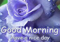 Good Morning My Sweet Love 1