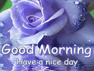 Good Morning My Sweet Love 1