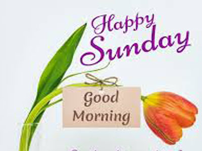 Good Morning Sunday With Rose