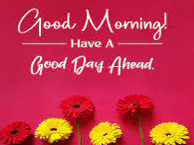 Good Morning Wish You A Great Day