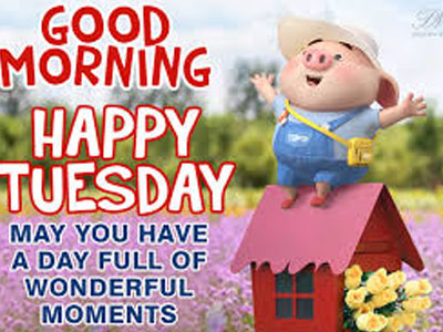 Good Morning Wishing Yall A Great Thursday