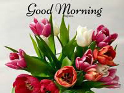 Good Morning With Black Tea