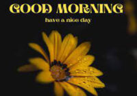 Good Thoughts Precede