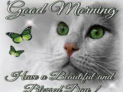 Happy Tuesday Have A Blessed Day In The Lord