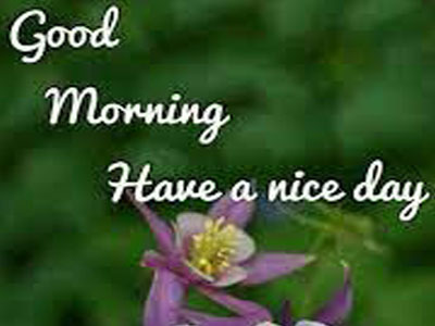 Hello Friends Good Morning 1