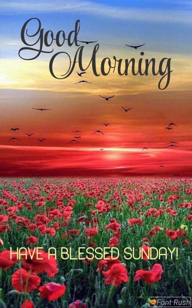 Have A Beautiful Sunday