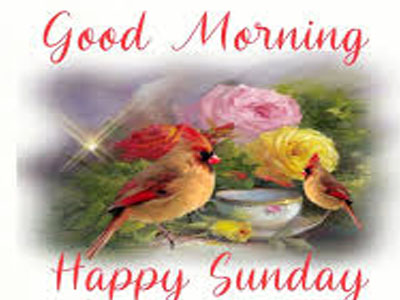 Lovely Pic Of Good Morning