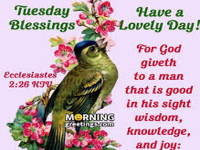 Outstanding Good Morning Pic 1