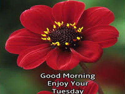Stunning Pic Of Good Morning Thursday