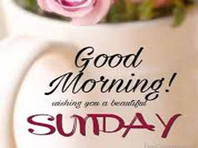 Wonderful Pic Of Good Morning