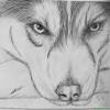 dibujos blanco y negro