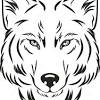 dibujo lobo