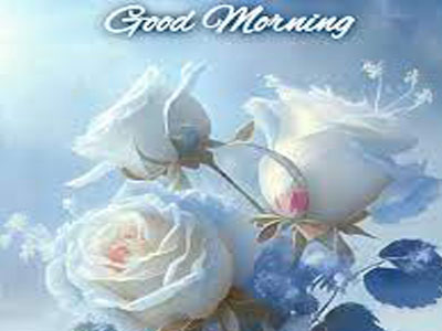 good morning friday dance gif