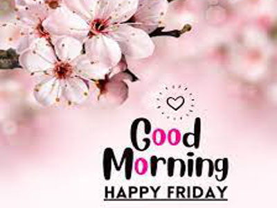 good morning friday funny quotes