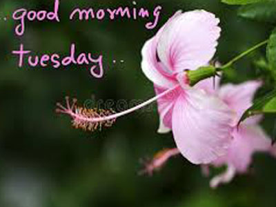 good morning images with quotes