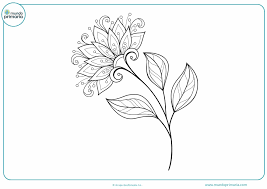 rosas para dibujar