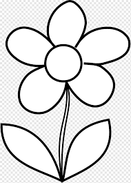 girasol dibujo