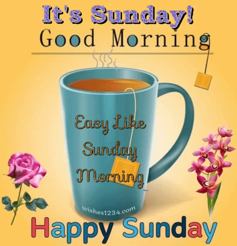 Good Morning Friends Happy Sunday