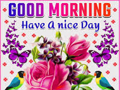 morning quotes motivational