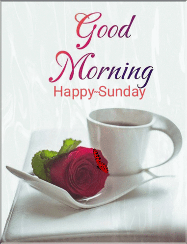 Good Morning Happy Sunday Fantastic Image