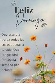 Buenos días feliz domingo