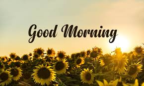 Love-Good-Morning-Pictures-for-Whatsapp1