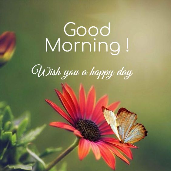 good-morning-wishes10-1