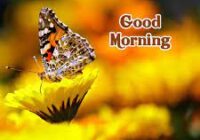 good-morning-wishes2
