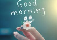 good-morning-wishes6