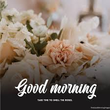 Good morning romantic rose
