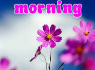 good morningquotes986
