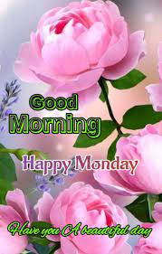 Fantastic Monday Good Morning Friends