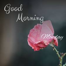 Happy Monday