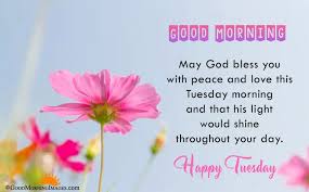 Its-Tuesday-And-Since-Its-Chooseday