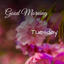 Best-Good-Morning-Tuesday-Message