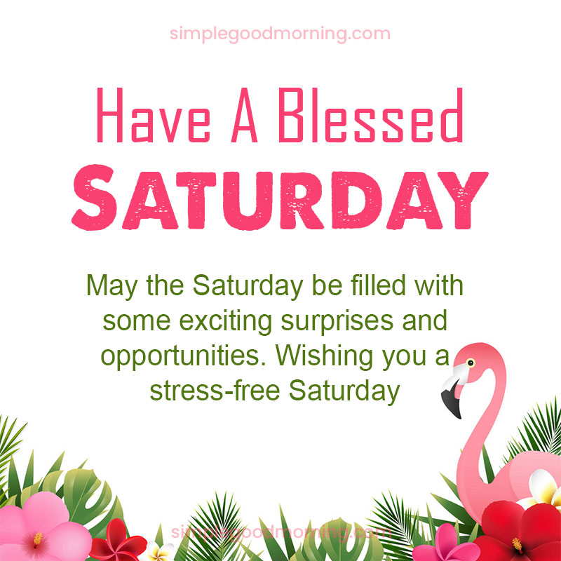 Thankful-Thursday-Image