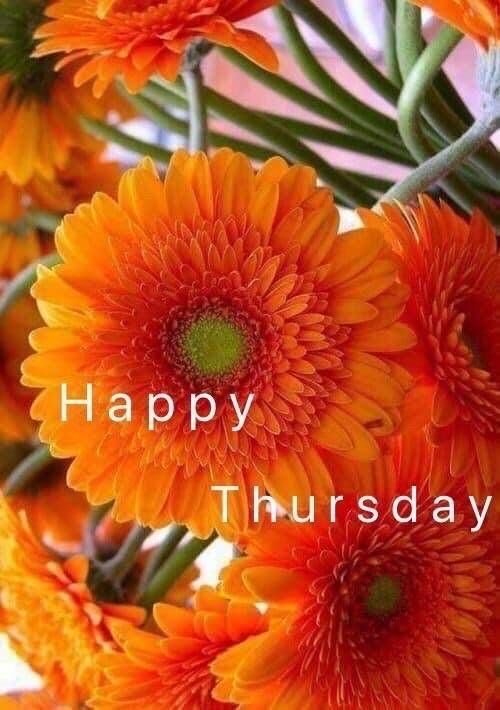 Good-Morning-Have-A-Beautiful-Thursday