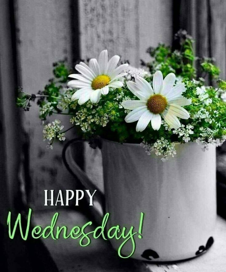 Happy-Wednesday-Greeting
