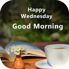 Wonderful-Wednesday-Morning-Pic