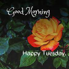 Terrific-Tuesday-Morning-Quotes
