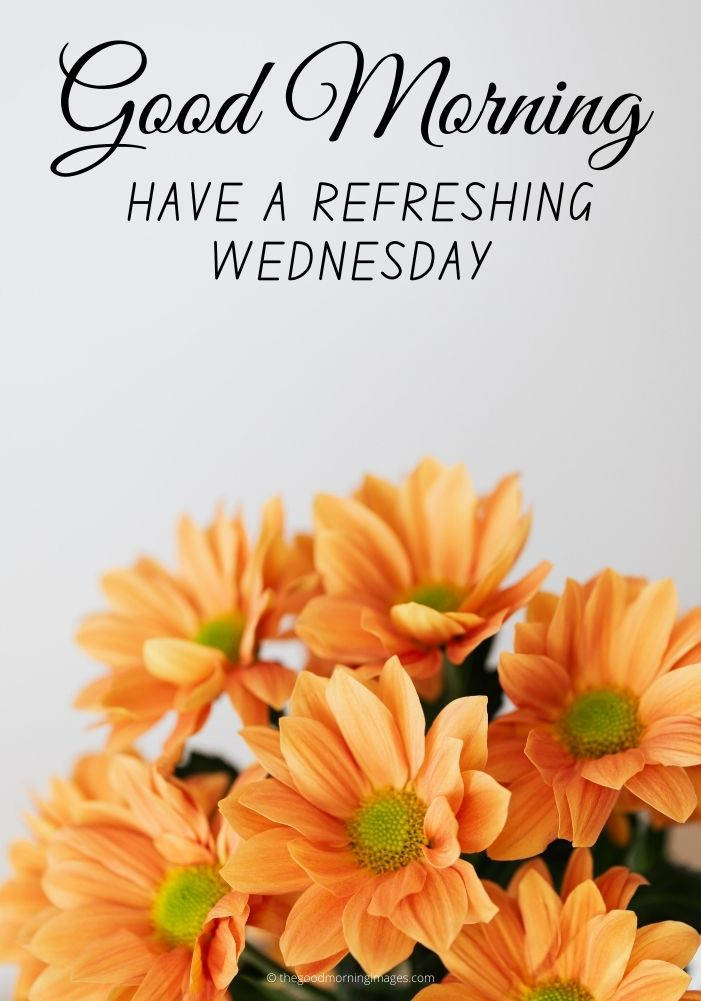 good-morning-wednesday-lovely-greeting-z2whe6mp8aes0ivl