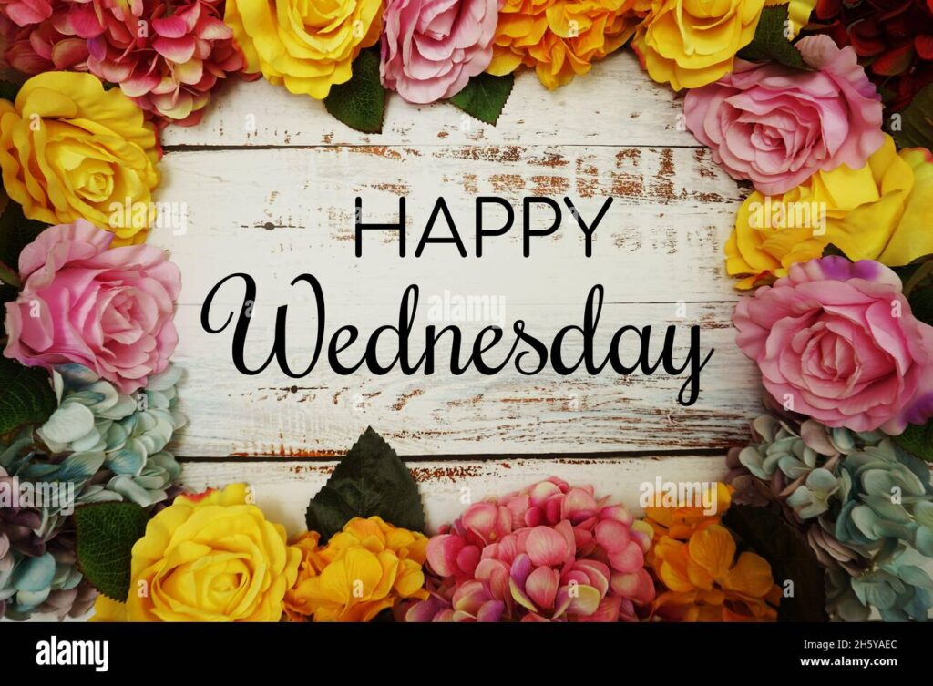 happy-wednesday-text-and-flowers-colorful-border-frame-on-wooden-background-2H5YAEC